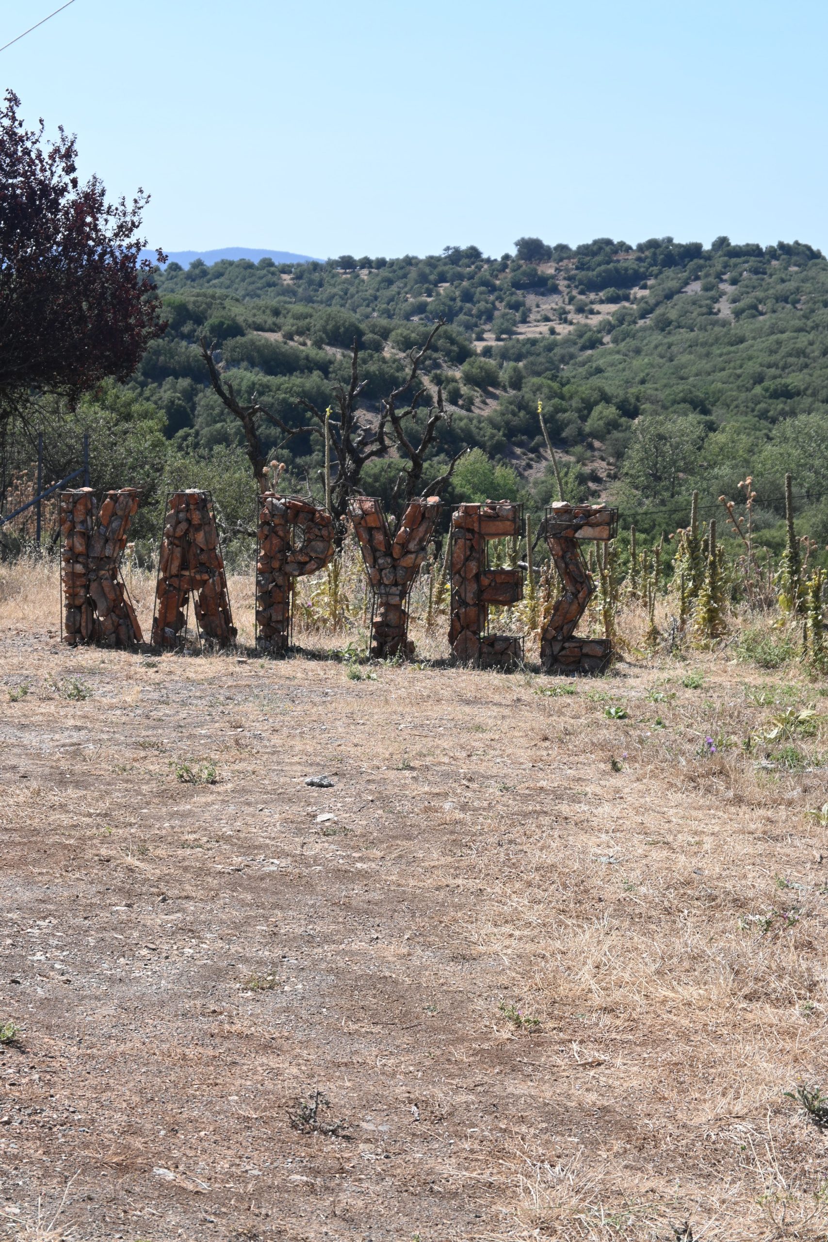 Διακοσμητική φωτογραφία για τις Καρυές Λακωνίας – τόπος με πολιτιστική ιστορία, φυσικό κάλλος και φιλοξενία που εντυπωσιάζει κάθε ταξιδιώτη.