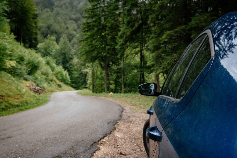 the-car-on-the-road-with-the-forest-around-it-2025-01-16-08-02-24-utc_11zon
